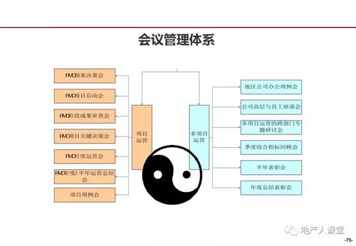 龙湖企业管理与运营精细化管理实践探析